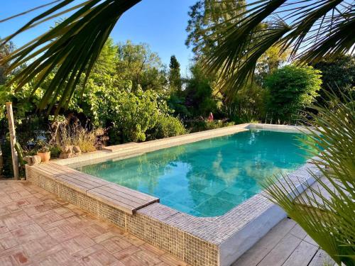 a swimming pool in a garden with a palm tree at Casa Stardust & cottages in Quelfes
