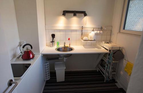 een kleine badkamer met een wastafel en een aanrecht bij Whole Apartment 20 minutes from the city center in Søborg