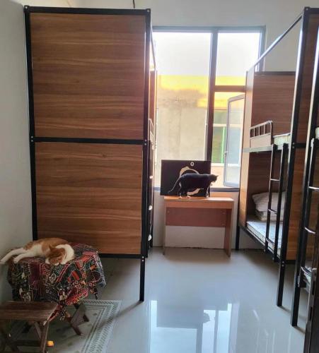a room with a cat sleeping on a chair in a room at Meow! Marcia Youth Hostel in Pingtan