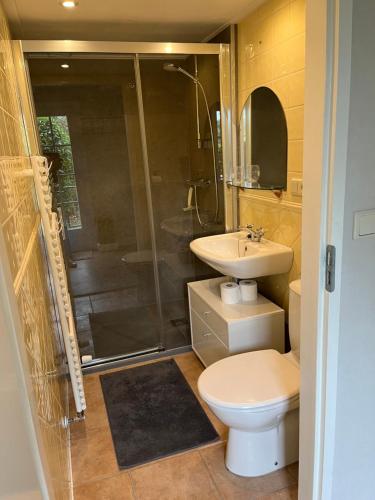 een badkamer met een douche, een toilet en een wastafel bij Ruime vakantiewoning in de natuur in Olst