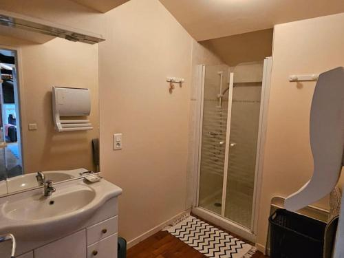 W łazience znajduje się umywalka i prysznic. w obiekcie Sous les toits du vieux Cahors w mieście Cahors