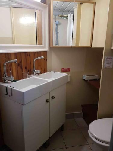 une salle de bain avec un lavabo et des toilettes dans l'établissement PÉNICHE authentique tout confort, à Aigues-Mortes
