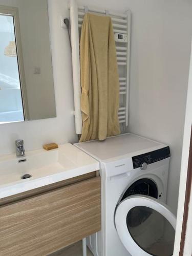 une salle de bain avec une machine à laver et un lavabo dans l'établissement Maison de ville avec parking - Caen centre, à Caen