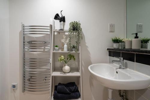 a bathroom with a sink and a shelf with plants at The Zenith: Your Urban Oasis in Leicester