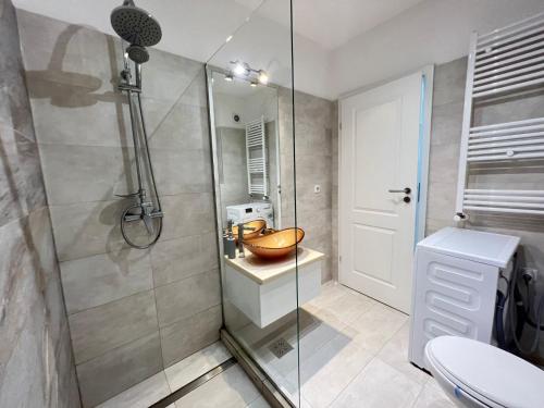 een badkamer met een douche, een wastafel en een toilet bij Central cozy Apartment in Cluj-Napoca