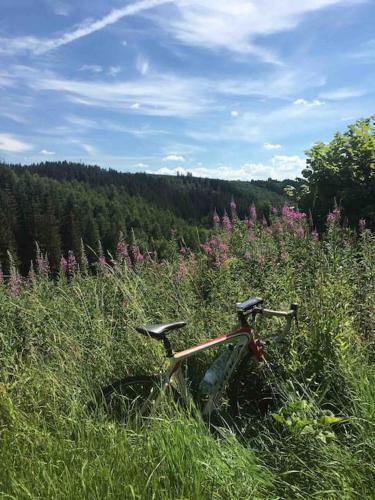 a bike sitting in the grass in a field at La Petite maison in Montleban