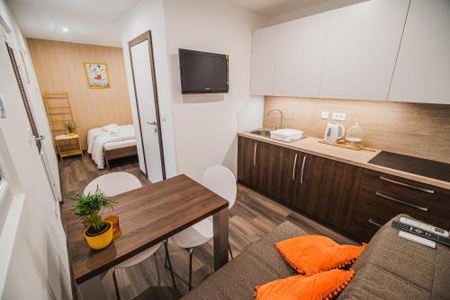 Kuchyň nebo kuchyňský kout v ubytování Studio Mobile Home Gotar