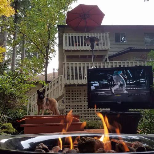a dog standing next to a fire pit with a tv at Forest & City Views - Near Portland, Nike & Intel in Beaverton