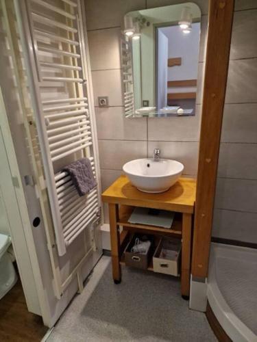 une salle de bain avec un lavabo et un miroir dans l'établissement Studio Acacia Brides Les Bains, à Brides-les-Bains