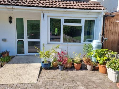 a bunch of potted plants in front of a house at Elgar Escape in Barnstaple