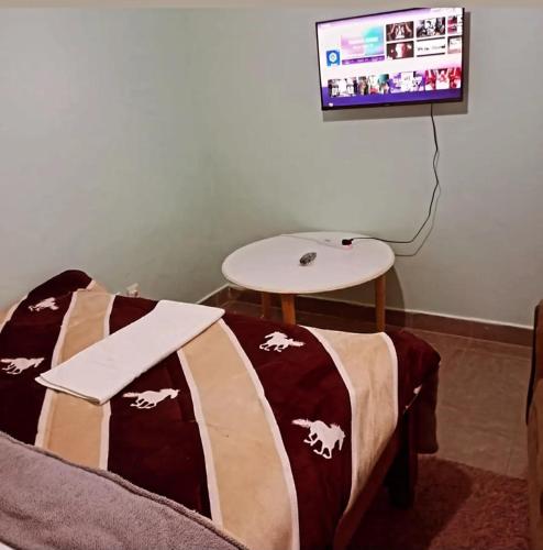 Televízia a/alebo spoločenská miestnosť v ubytovaní Cosy studio apartment bnb in thika town