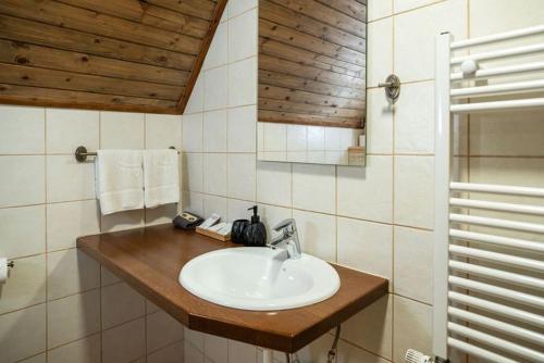 Koupelna v ubytování Pristava Lepena Village