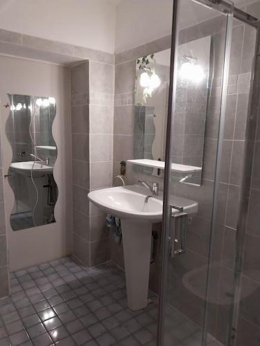 une salle de bain avec un lavabo et une douche dans l'établissement Cocon calme, 2 pièces Tours proche bord de Loire, à Tours