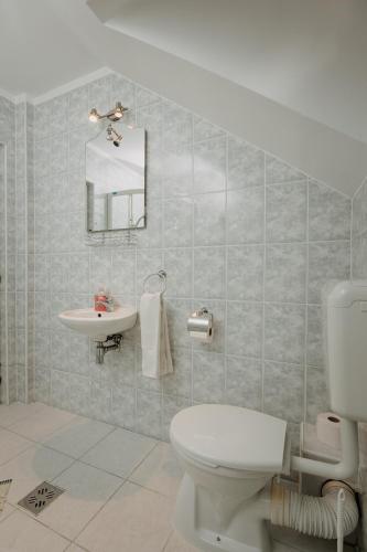 a bathroom with a toilet and a sink at Kaffai Panzio in Izvoru Mureşului