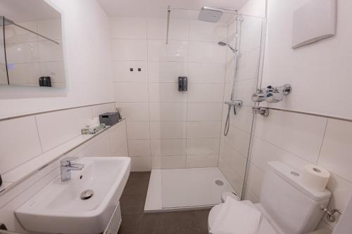 een badkamer met een douche, een toilet en een wastafel bij Come4Stay Passau - Wohnung Eduard Hamm - 2 Zimmer I bis zu 4 Gäste in Passau