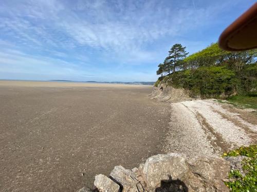an empty beach with a tree on the side of it at Seaside & Lake District retreat in Arnside