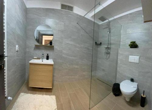 a bathroom with a shower and a sink and a toilet at Complex Turistic Darina Sancraiu de Mures in Sîncraiu de Mureş