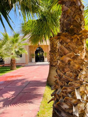 a stone wall next to a palm tree next to a sidewalk at Villa MsHolidays Victoria privatisée Marrakech in Marrakech