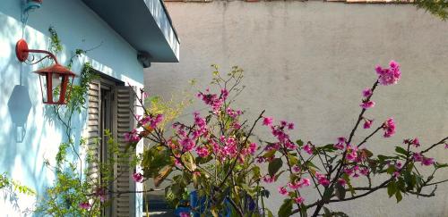 eine Pflanze mit rosa Blumen vor einem Gebäude in der Unterkunft Micasa Hostel - Congonhas in São Paulo