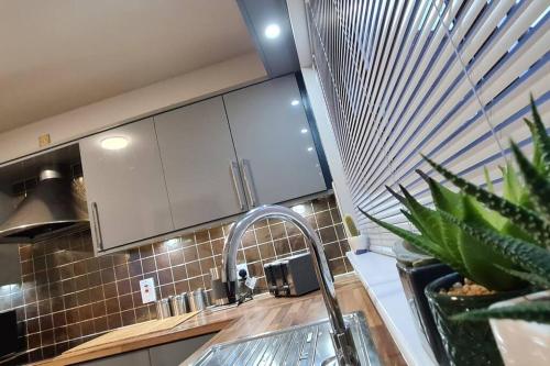 una cucina con lavandino e piano di lavoro di Millhouse Cottage A Luxury 3 bed Bungalow ad Antrim