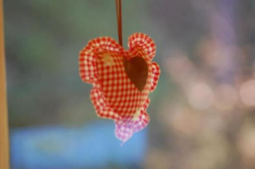 a red and white checkered heart hanging from a string at Grünwald Hütte in Tarvisio
