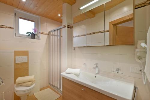 W łazience znajduje się umywalka, toaleta i lustro. w obiekcie Haus Bergfriede w Mayrhofen
