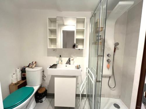 une salle de bain avec toilettes, lavabo et douche dans l'établissement Studio atypique Camas, à Marseille