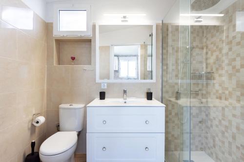 La salle de bains est pourvue de toilettes, d'un lavabo et d'une douche. dans l'établissement Casa Los Grabados, piscina, vistas, barbacoa y zen, à Icod de los Vinos