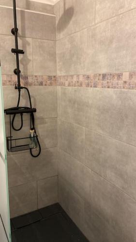 La salle de bains est pourvue d'une douche. dans l'établissement La maison bleue, à Montcenis