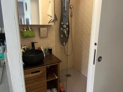 a bathroom with a sink and a shower at Appartement Cap d'Agde, 3 pièces, 4 personnes - FR-1-749-9 in Cap d'Agde