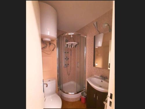 une salle de bain avec une douche, des toilettes et un lavabo dans l'établissement Studio lumineux, bien équipé au cœur de la station, idéal pour 2 adultes et 1 enfant. - FR-1-592-60, à Bolquère-Pyrénées 2000