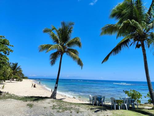a beach with chairs and palm trees and the ocean at La villa du soleil 971 in Anse-Bertrand