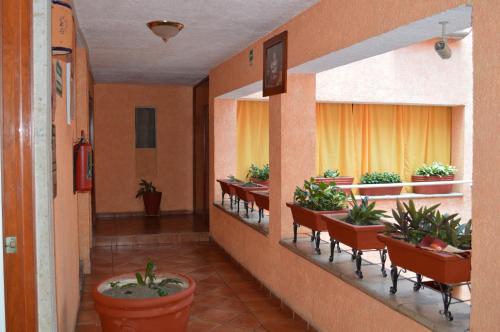 a hallway with chairs and potted plants in a building at Hotel La Rienda Mision Tequillan in Tequila