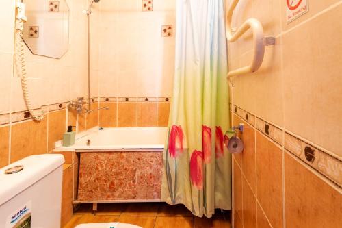 ein Bad mit einer Badewanne und einem Duschvorhang in der Unterkunft Дуглас in Petropawlowsk