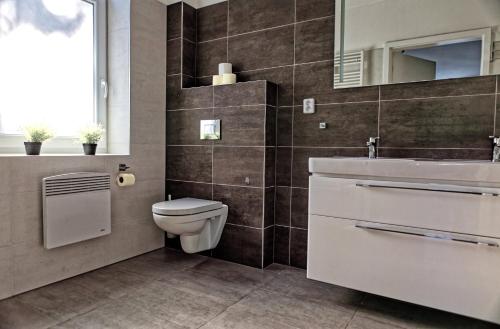 a bathroom with a toilet and a sink at Lipno - Lakeside Village - Větrník in Frymburk