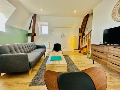 Televisyen dan/atau pusat hiburan di L'Herboriste - Appartements meublés