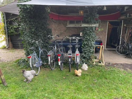 a group of bikes parked in front of a house at The Tiny Garage in Kampen