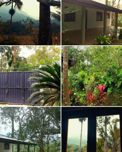 a collage of four pictures of trees and a house at Green Agua Lodge in Belihul Oya