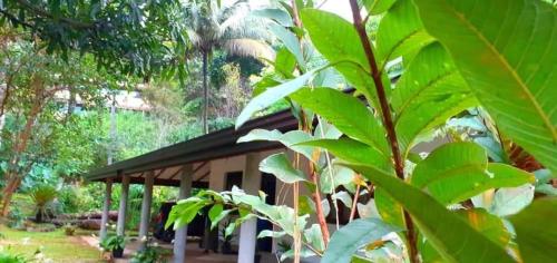 a building in a forest with green leaves at Green Agua Lodge in Belihul Oya