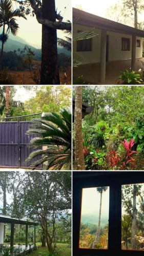un collage de cuatro fotos de árboles y una palmera en Green Agua Lodge, en Belihuloya