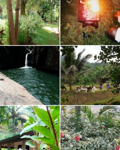 a collage of photos with people in a park at Green Agua Lodge in Belihuloya