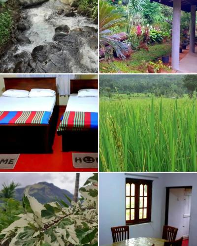 a collage of four pictures of beds in a field at Green Agua Lodge in Belihul Oya
