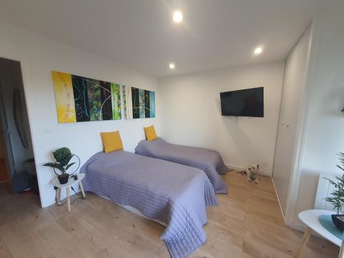 - une chambre avec 2 lits et une télévision murale dans l'établissement Studio Amèlie les bains, à Amélie-les-Bains-Palalda