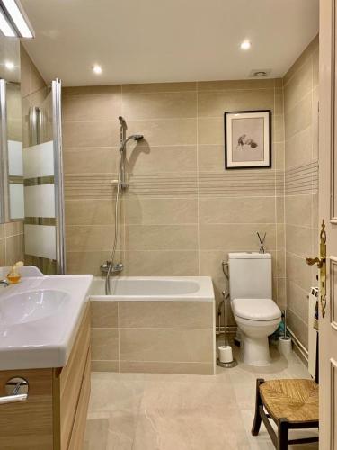 une salle de bain avec une baignoire, des toilettes et un lavabo dans l'établissement Maison Briarde, à Montgé