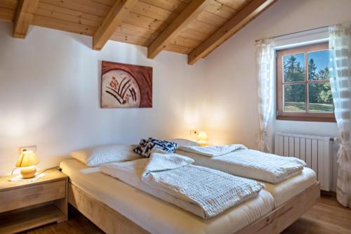 a bedroom with a large bed and a window at Tschigghof in Collepietra