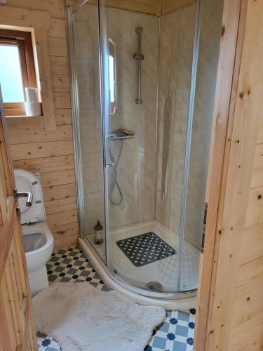 eine Dusche im hölzernen Bad mit WC in der Unterkunft Hot Tub Unique Farm Stay in Pallis Bridge