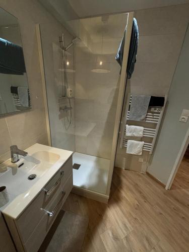 een badkamer met een douche en een wastafel bij Logement individuel ROUEN in Le Petit-Quevilly