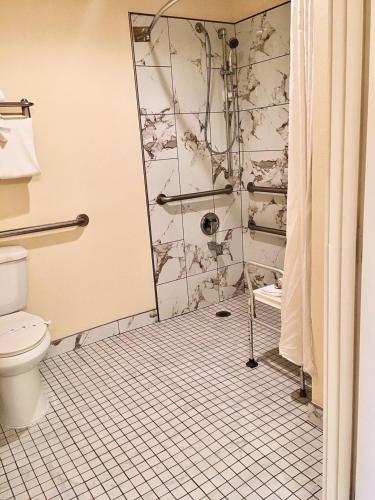 a bathroom with a shower and a toilet at Lighthouse Suites Inn in Ocean Shores