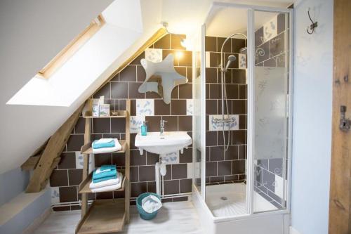 a bathroom with a shower and a sink at Chambres d'hôtes du Coq à l'Ane in Beaubec-la-Rosière