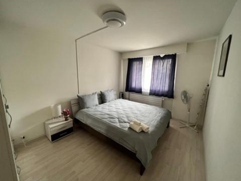 una camera con letto e finestra di Beautiful 2.5 Room Apartment in Lucerne (Luzern)36 a Lucerna